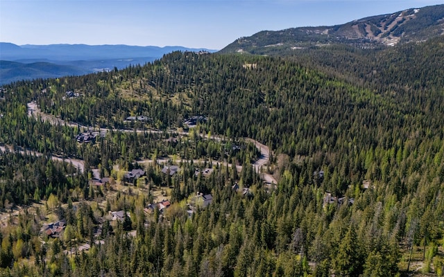 165 Woodland Star Cir, Whitefish, MT 59937