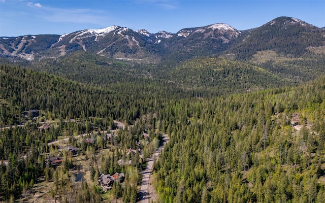 165 Woodland Star Cir, Whitefish, MT 59937