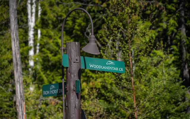 165 Woodland Star Cir, Whitefish, MT 59937
