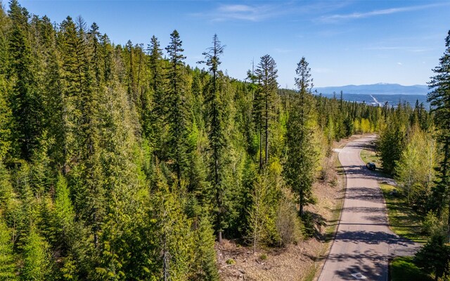 165 Woodland Star Cir, Whitefish, MT 59937