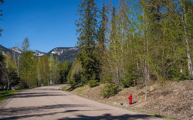 165 Woodland Star Cir, Whitefish, MT 59937