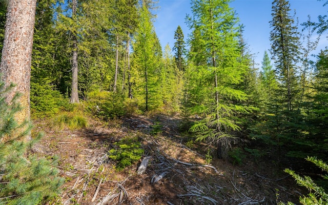 165 Woodland Star Cir, Whitefish, MT 59937