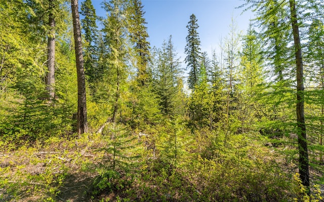 165 Woodland Star Cir, Whitefish, MT 59937
