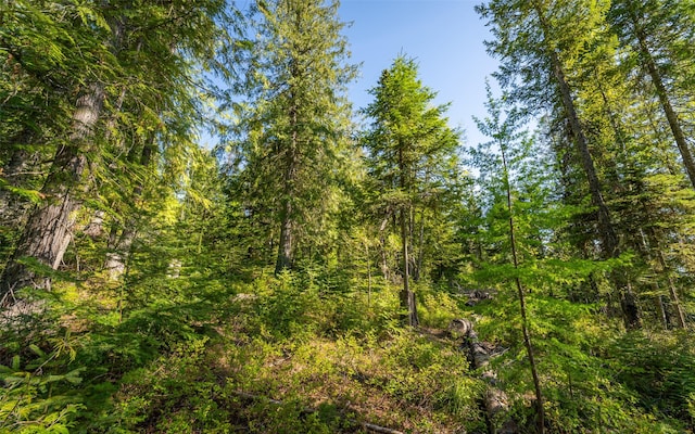 165 Woodland Star Cir, Whitefish, MT 59937