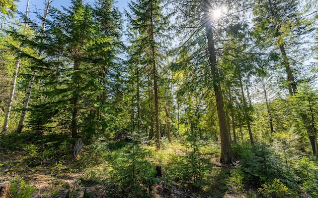 165 Woodland Star Cir, Whitefish, MT 59937