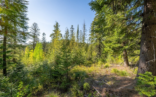 165 Woodland Star Cir, Whitefish, MT 59937