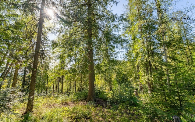 165 Woodland Star Cir, Whitefish, MT 59937