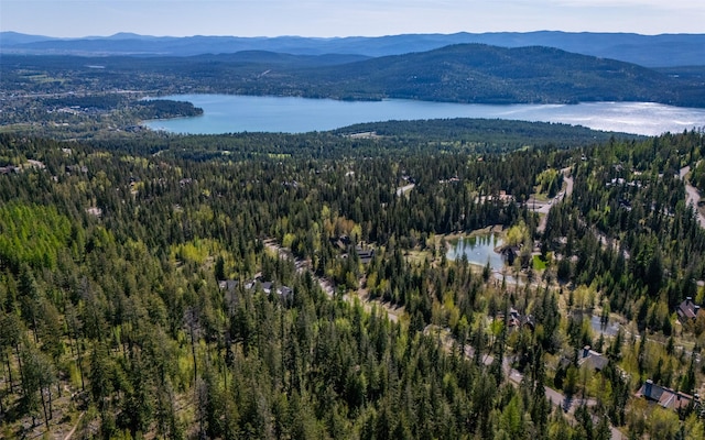 165 Woodland Star Cir, Whitefish, MT 59937