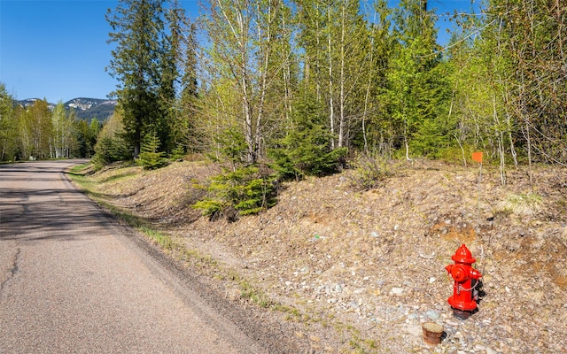 165 Woodland Star Cir, Whitefish, MT 59937
