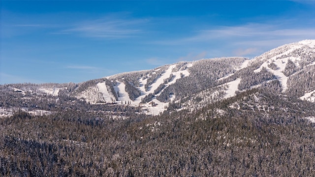 165 Woodland Star Cir, Whitefish, MT 59937