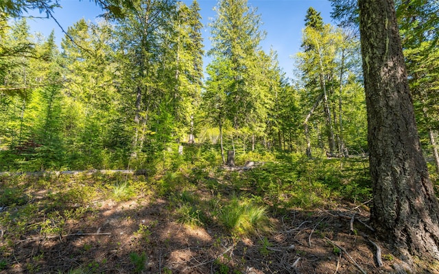 165 Woodland Star Cir, Whitefish, MT 59937