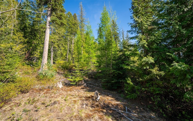 165 Woodland Star Cir, Whitefish, MT 59937