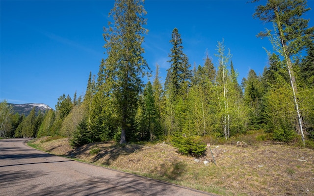 165 Woodland Star Cir, Whitefish, MT 59937