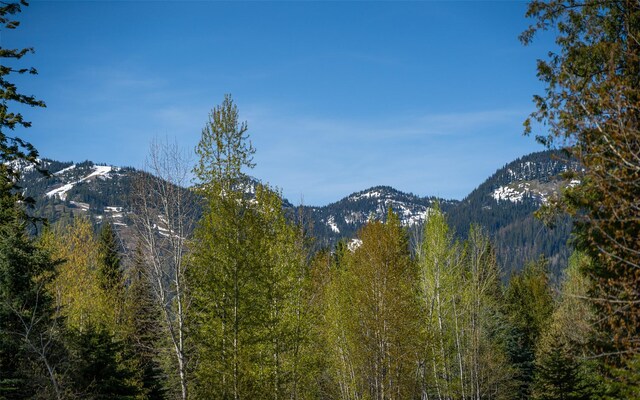 165 Woodland Star Cir, Whitefish, MT 59937