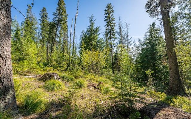 165 Woodland Star Cir, Whitefish, MT 59937