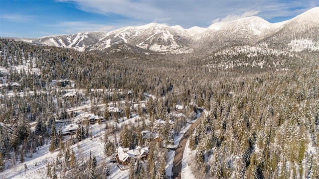 165 Woodland Star Cir, Whitefish, MT 59937