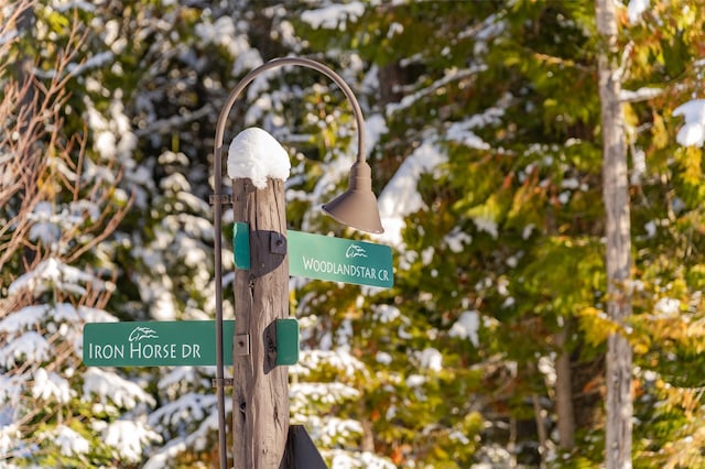 165 Woodland Star Cir, Whitefish, MT 59937