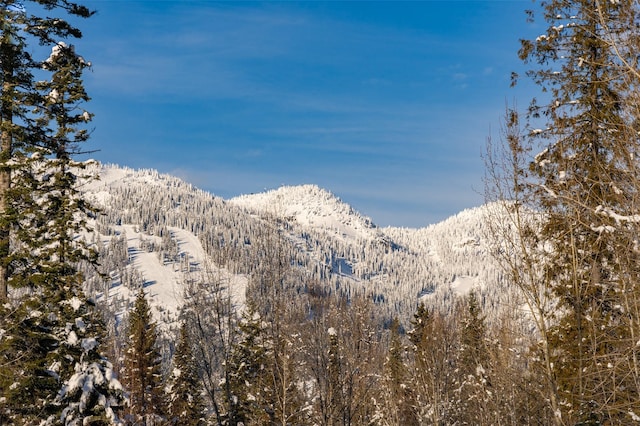 165 Woodland Star Cir, Whitefish, MT 59937