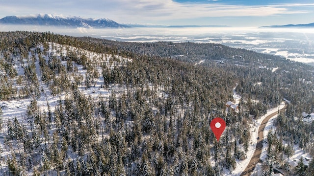 165 Woodland Star Cir, Whitefish, MT 59937