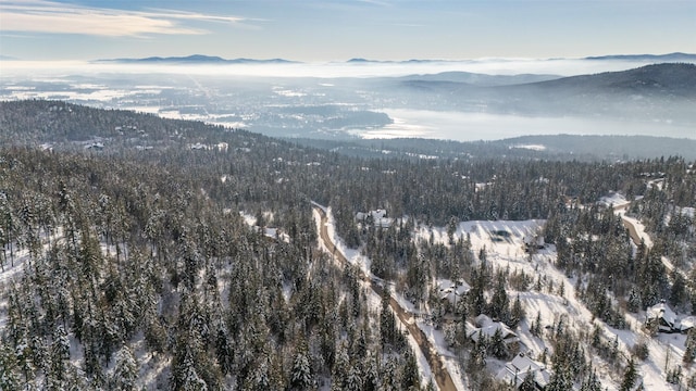 165 Woodland Star Cir, Whitefish, MT 59937