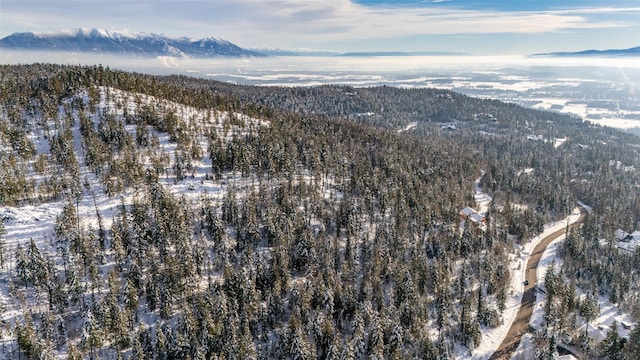 165 Woodland Star Cir, Whitefish, MT 59937