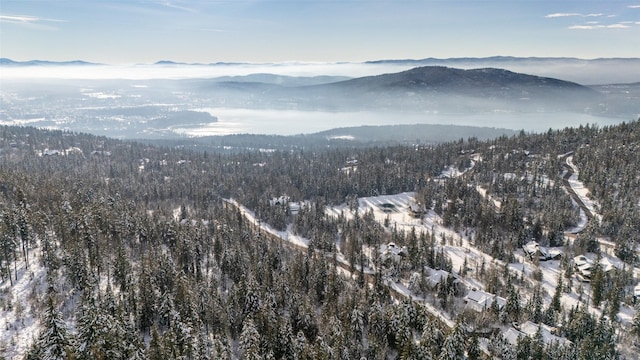 165 Woodland Star Cir, Whitefish, MT 59937