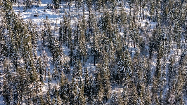 165 Woodland Star Cir, Whitefish, MT 59937