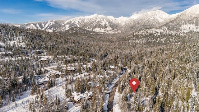 165 Woodland Star Cir, Whitefish, MT 59937