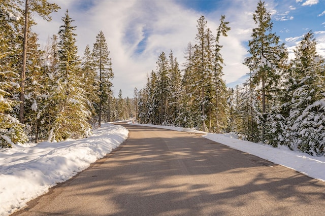 165 Woodland Star Cir, Whitefish, MT 59937