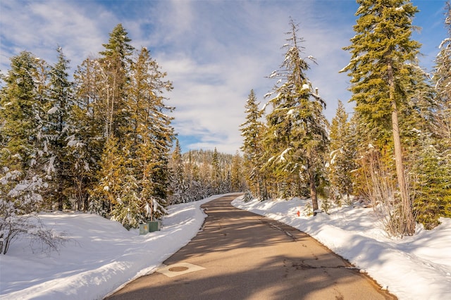 165 Woodland Star Cir, Whitefish, MT 59937