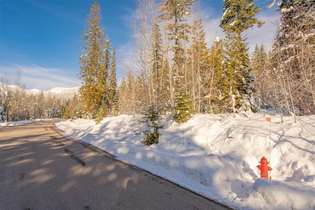 165 Woodland Star Cir, Whitefish, MT 59937