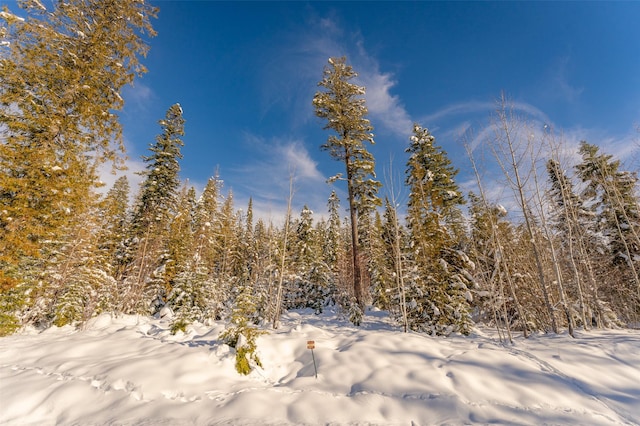 165 Woodland Star Cir, Whitefish, MT 59937