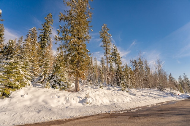 165 Woodland Star Cir, Whitefish, MT 59937