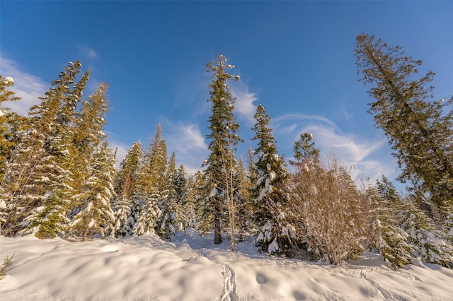 165 Woodland Star Cir, Whitefish, MT 59937