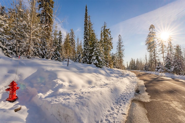 165 Woodland Star Cir, Whitefish, MT 59937
