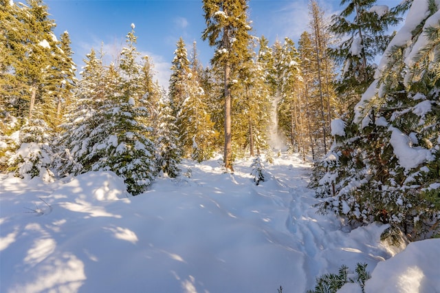165 Woodland Star Cir, Whitefish, MT 59937