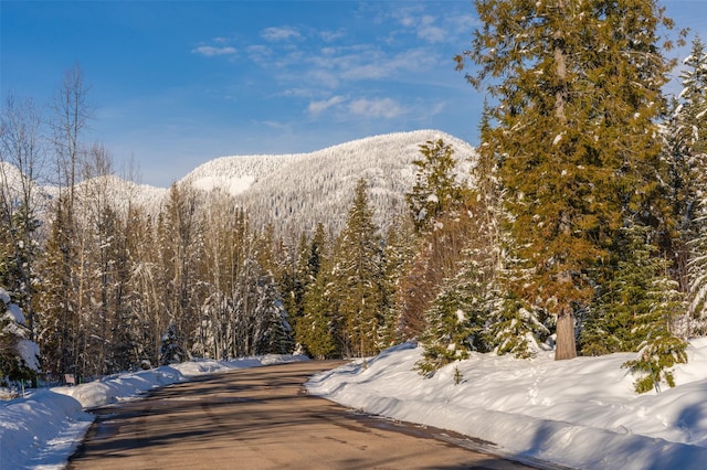 165 Woodland Star Cir, Whitefish, MT 59937