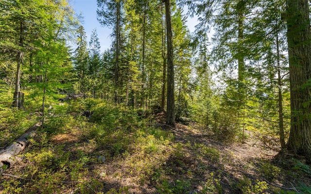 165 Woodland Star Cir, Whitefish, MT 59937