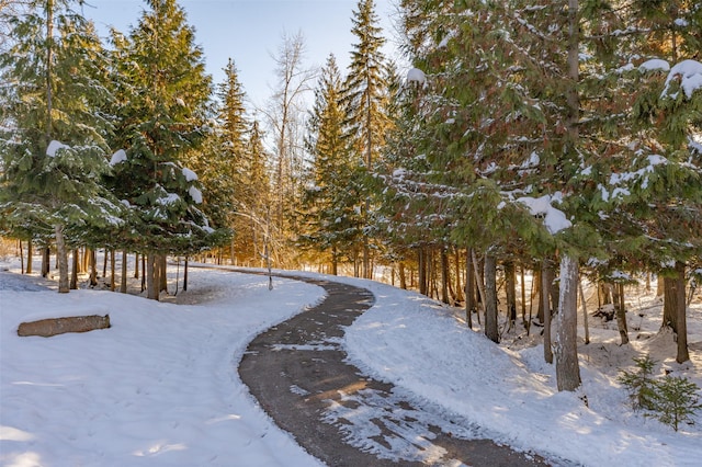 165 Woodland Star Cir, Whitefish, MT 59937