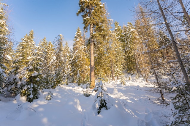 165 Woodland Star Cir, Whitefish, MT 59937