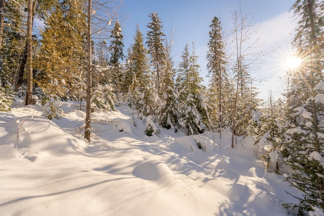 165 Woodland Star Cir, Whitefish, MT 59937