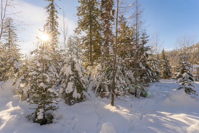 165 Woodland Star Cir, Whitefish, MT 59937