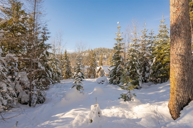 165 Woodland Star Cir, Whitefish, MT 59937