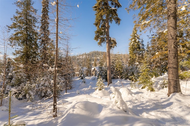 165 Woodland Star Cir, Whitefish, MT 59937