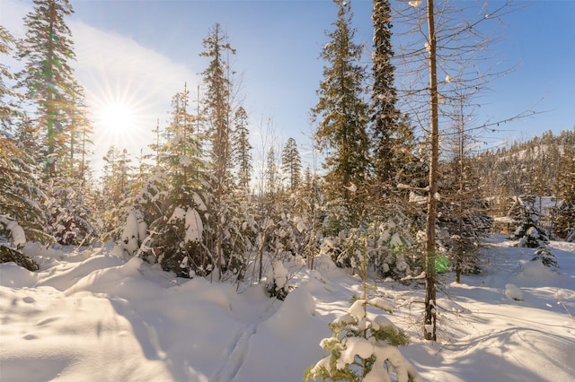 165 Woodland Star Cir, Whitefish, MT 59937