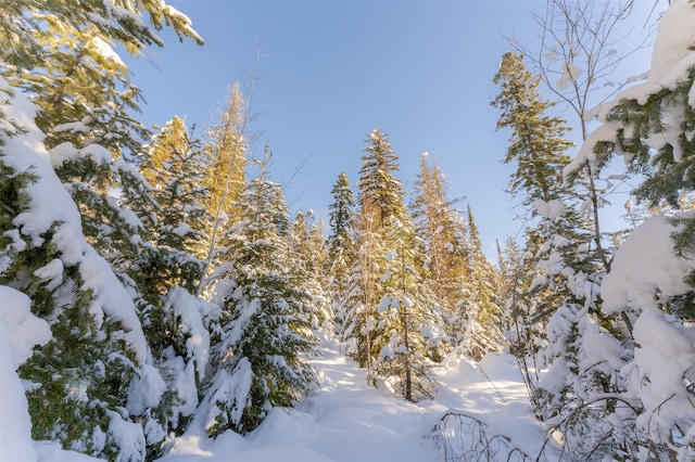 165 Woodland Star Cir, Whitefish, MT 59937
