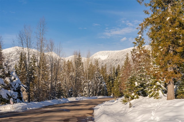 165 Woodland Star Cir, Whitefish, MT 59937