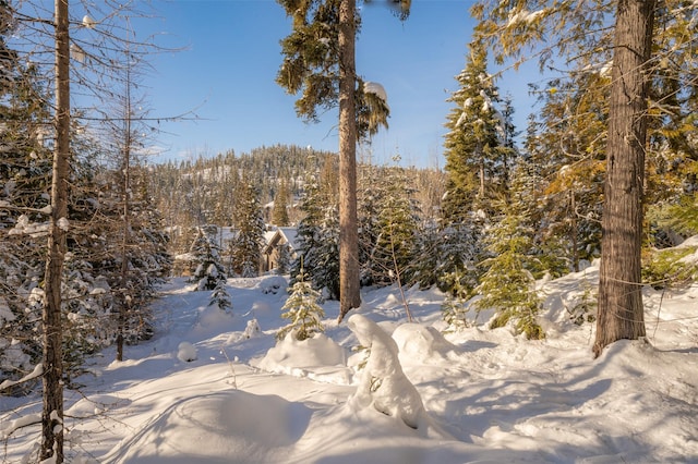 165 Woodland Star Cir, Whitefish, MT 59937