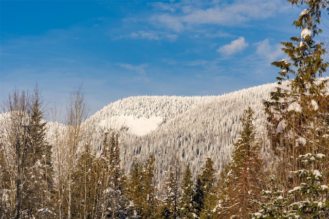 165 Woodland Star Cir, Whitefish, MT 59937