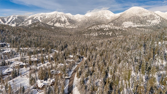 165 Woodland Star Cir, Whitefish, MT 59937